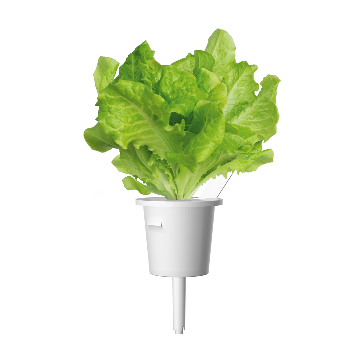 Click & Grow Groene Sla Pods